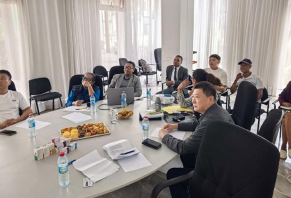 Plonger en profondeur sur le marché africain et renforcer la coopération transfrontalière | Li Guomei, Présidente de la Chambre de commerce sino-tanzanienne, organise une réunion spéciale pour l’achat d’équipements à Madagascar