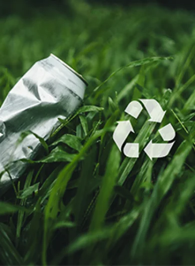 Santé environnementale