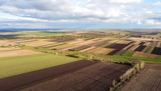 Agriculture